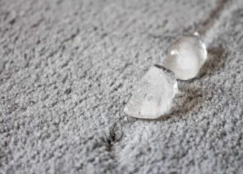 The Ice Cube Trick Everyone’s Using to Clean Carpet Stains