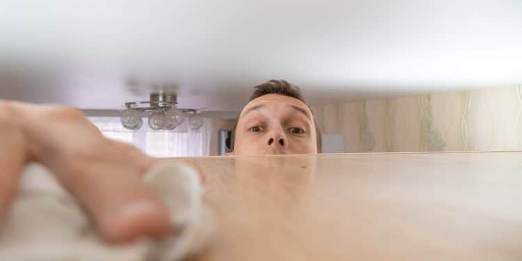 The Genius Way to Stop Dust From Settling So Fast