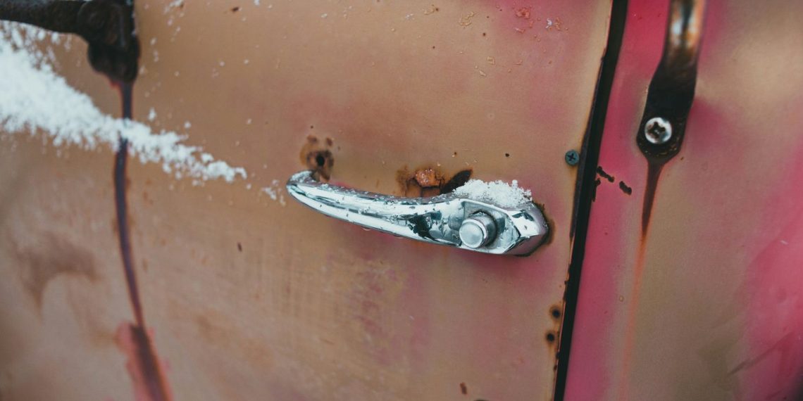 white and black fish on pink metal door