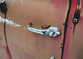 white and black fish on pink metal door