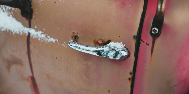 white and black fish on pink metal door