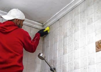 Stop Mold Before It Takes Hold: How To Prevent It In The Bathroom