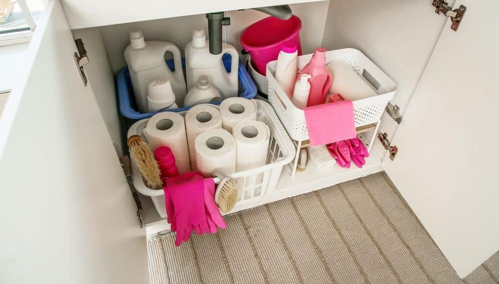 The Most Overlooked Storage Spot in the House: Under the Sink