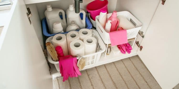 The Most Overlooked Storage Spot in the House: Under the Sink