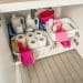 The Most Overlooked Storage Spot in the House: Under the Sink