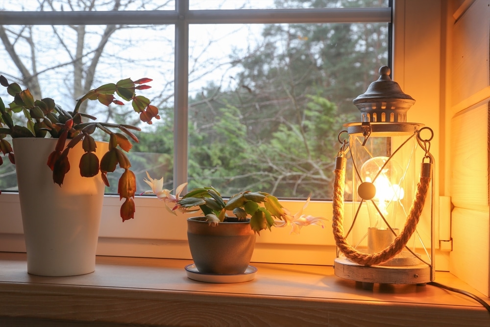 affordable home accessories