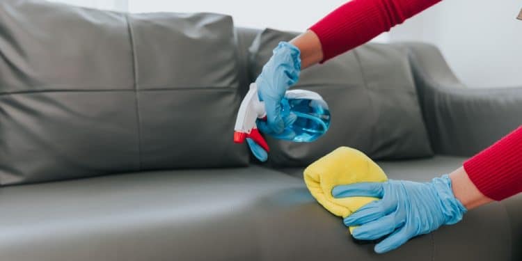 How to Clean a Leather Sofa Without Damaging It