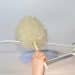 Why Your Ceiling Fan Spreads Dust (And How to Stop It)