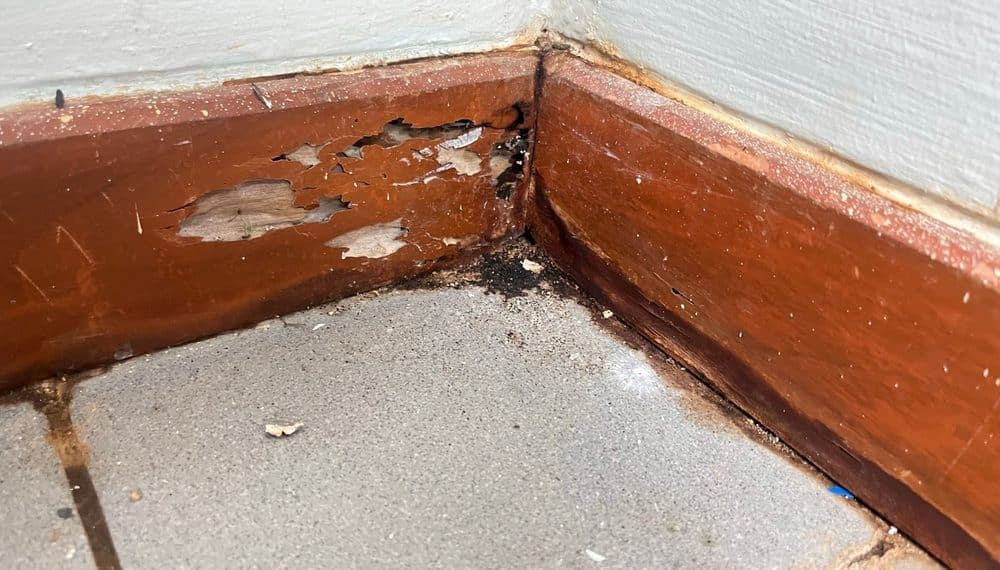 The Fastest Way to Clean Dirty Baseboards