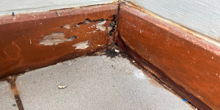 The Fastest Way to Clean Dirty Baseboards