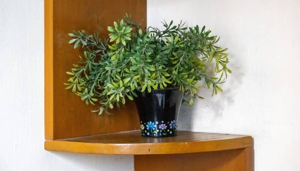 Build a Plant Shelf That Fits Any Corner