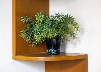 Build a Plant Shelf That Fits Any Corner