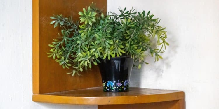 Build a Plant Shelf That Fits Any Corner