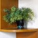 Build a Plant Shelf That Fits Any Corner