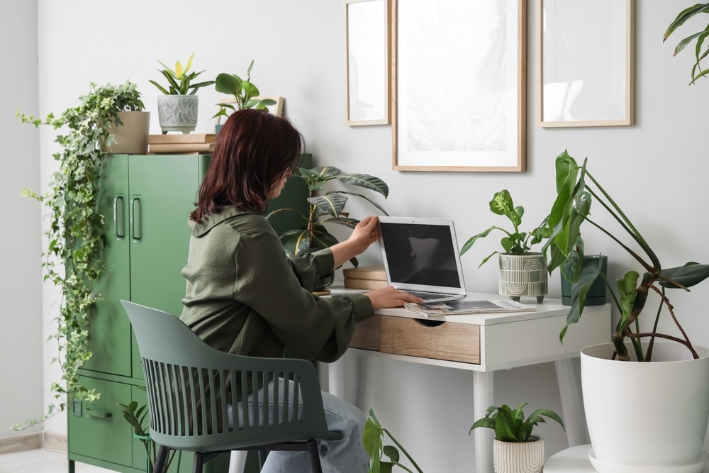 budget home office setup