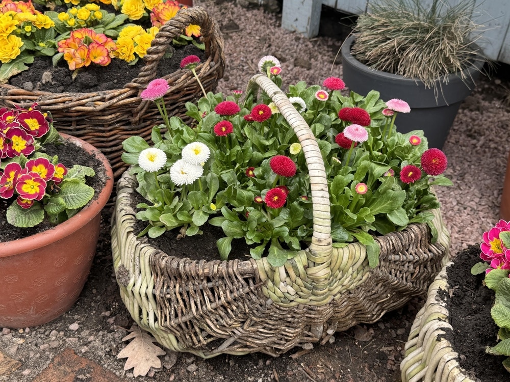 budget patio ideas