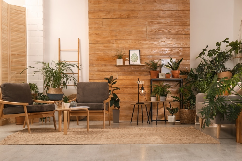 budget accent wall ideas