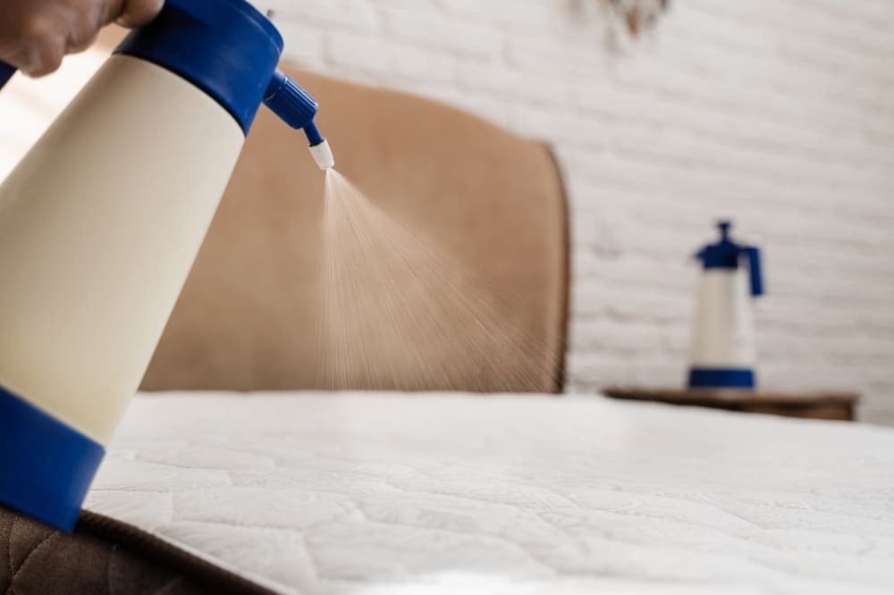 cleaning your mattress