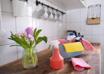 How Often Should You Really Wash Household Items?