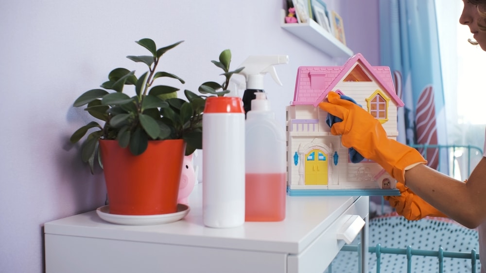 household cleaning schedule