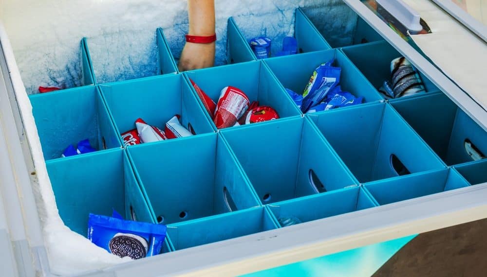 Organize Your Freezer So Food Stops Disappearing