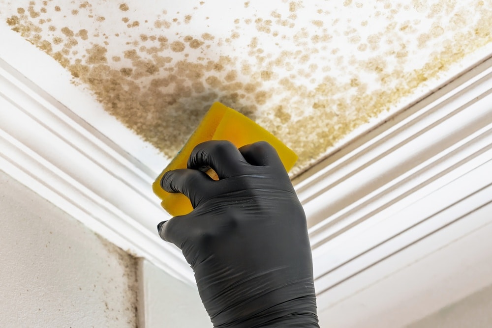 clean ceiling corners