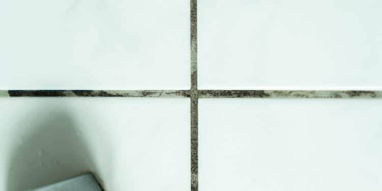 Grout Lines Turning Gray? Restore Them to Bright White at Home