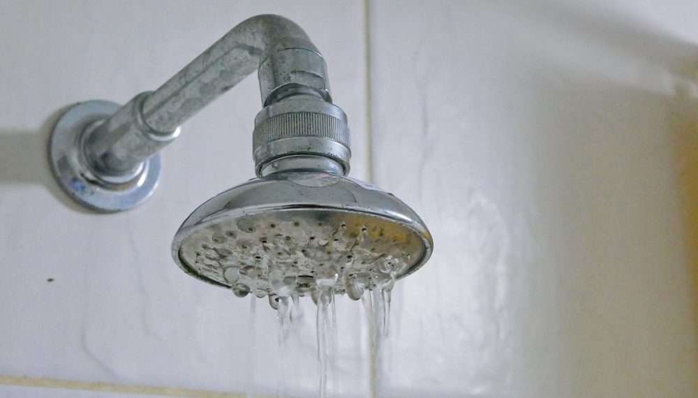 Showerhead Losing Pressure? Here’s How to Descale It