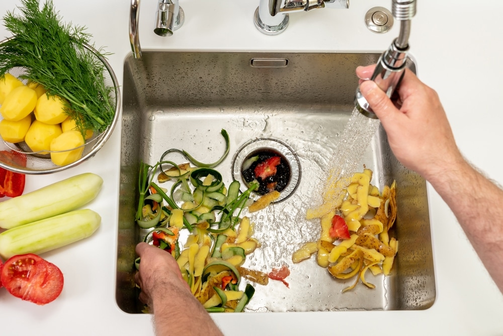 clean garbage disposal