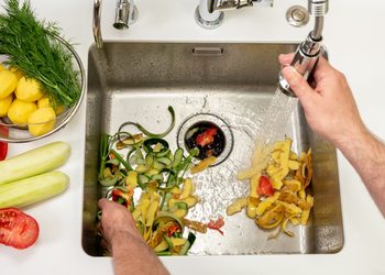 The Right Way to Clean and Deodorize a Smelly Garbage Disposal